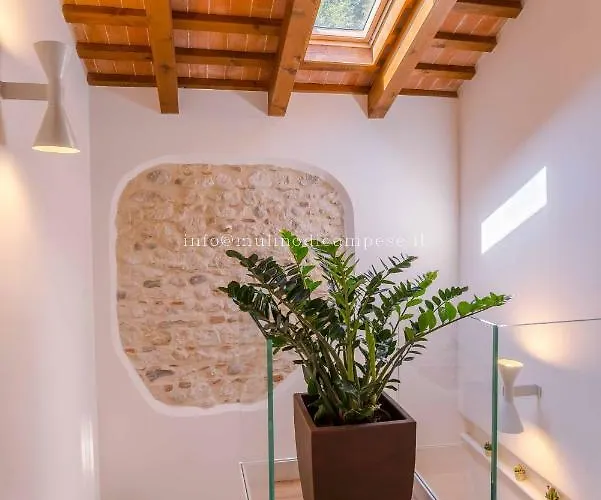 Bed and breakfast Mulino Di Campese (Veneto)
